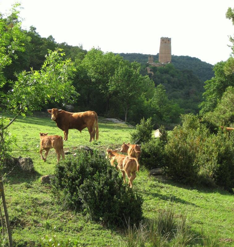 Hotel Rural Jaumet Tora de Riubregos Exteriér fotografie